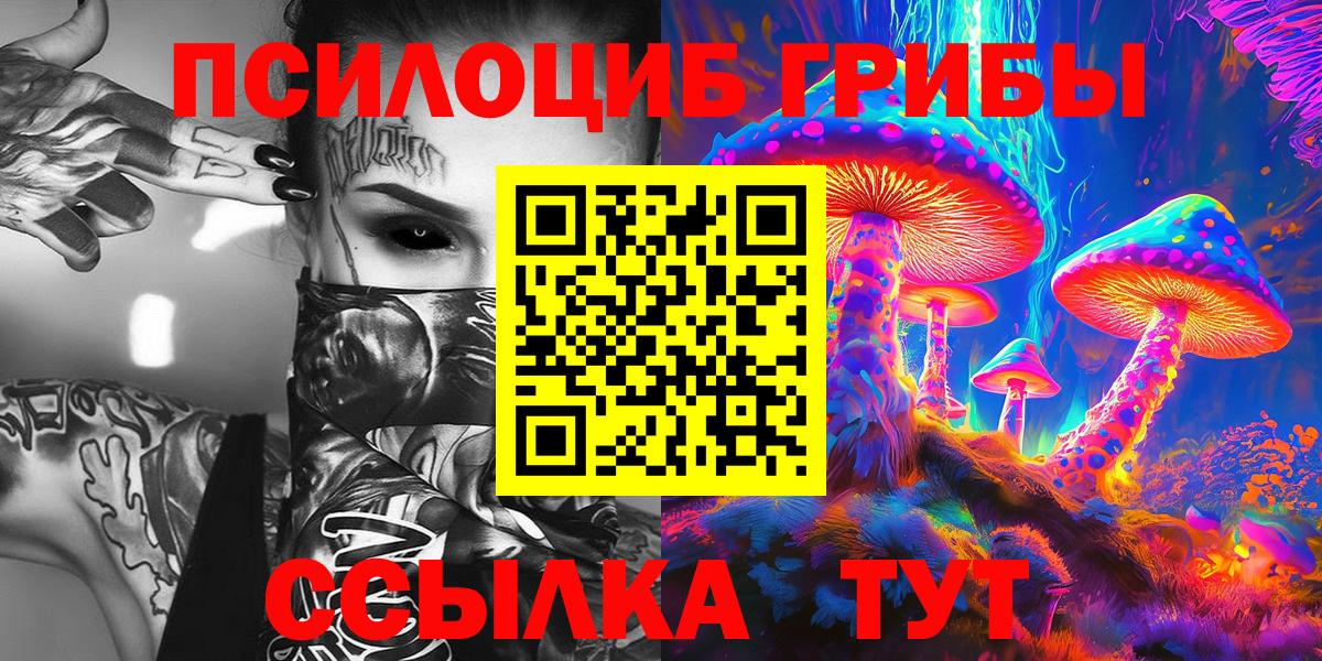 Галлюциногенные грибы Psilocybine cubensis Белорецк